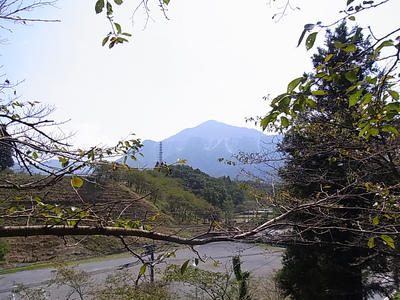 遠くに見えるのが武甲山